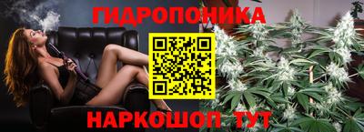 хмурый Гай