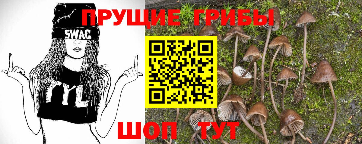 Псилоцибиновые грибы Magic Shrooms Пугачёв