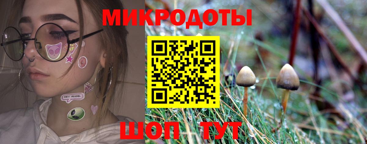 Галлюциногенные грибы GOLDEN TEACHER  сколько стоит  Пугачёв  Вход с VPN 